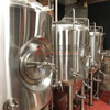 Attrezzature per birrerie riscaldate a vapore combinate personalizzate di qualità superiore internazionale 1000L con serbatoi per birrerie