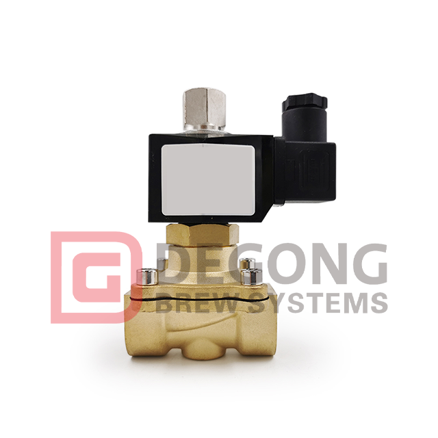1/4 Pollici 3/4 Pollici Elettrovalvola Elettrica N/C Valvola Pneumatica Acqua Olio Aria Liquido 12V/24V/220V/110V