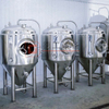 Riscaldamento elettrico del sistema di schiacciamento della birra da 300 litri per il sistema chiavi in ​​mano dell'attrezzatura del birrificio artigianale in vendita