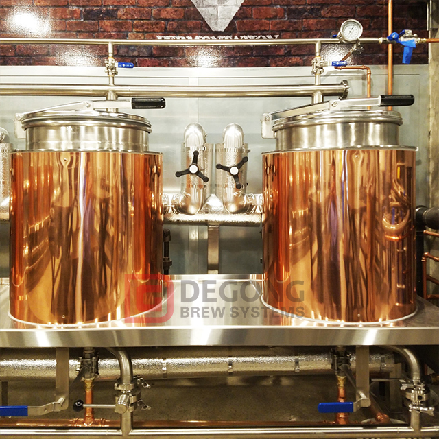 Linea di produzione di birra Mini Home Bar personalizzata 2BBL 5BBL