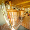 5BBL 2 Vessel Brewhouse Sistema di produzione di birra in rame in vendita