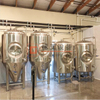 Nano attrezzatura per birrificio chiavi in ​​mano 5bbl produce 2 lotti al giorno DEGONG Produttore