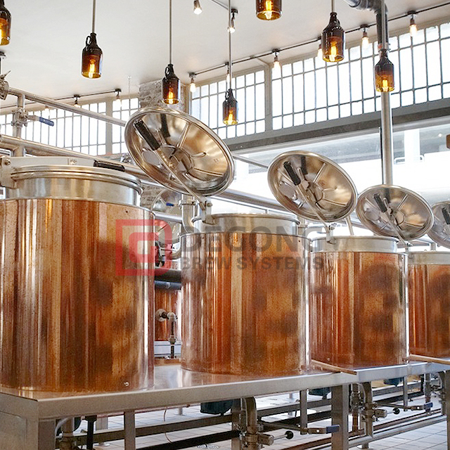 Red Copper Craft Beer Studio |Attrezzatura per birra artigianale di DEGONG