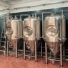 700L Craft Micro Brewery Equipment Sistema completo per la produzione di birra con riscaldamento elettrico/a vapore in vendita